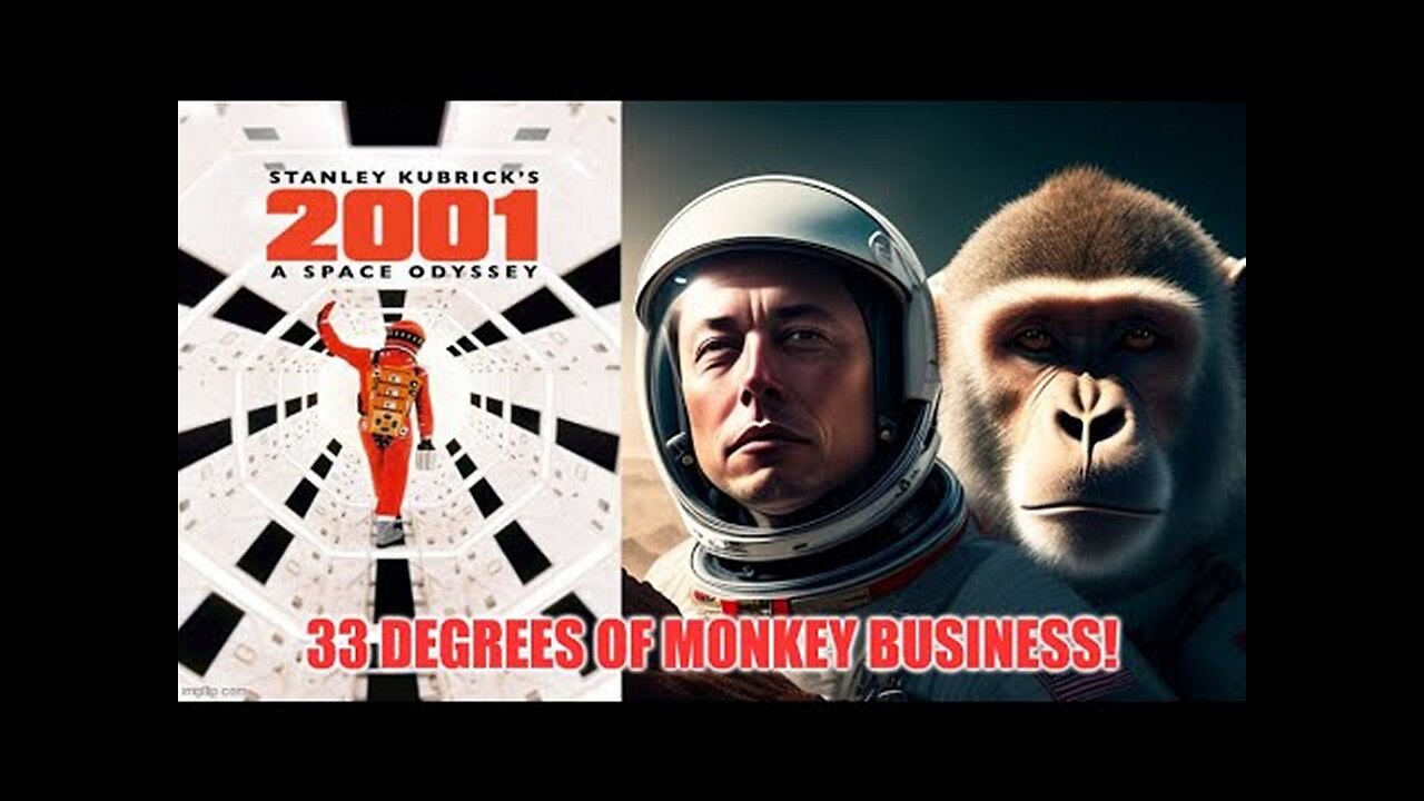 SMHP: 33 Degrees Of Monkey Business! A Documentary [31.08.2023]