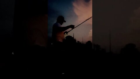 The Lightning