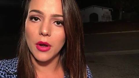 Digital Short: Tarpon Springs police investigating SUV into home