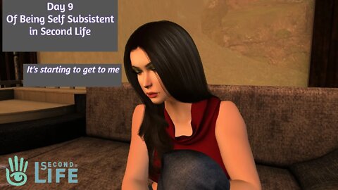 [Day 9] The Psychological Effects of being Self Subsistent in Second Life