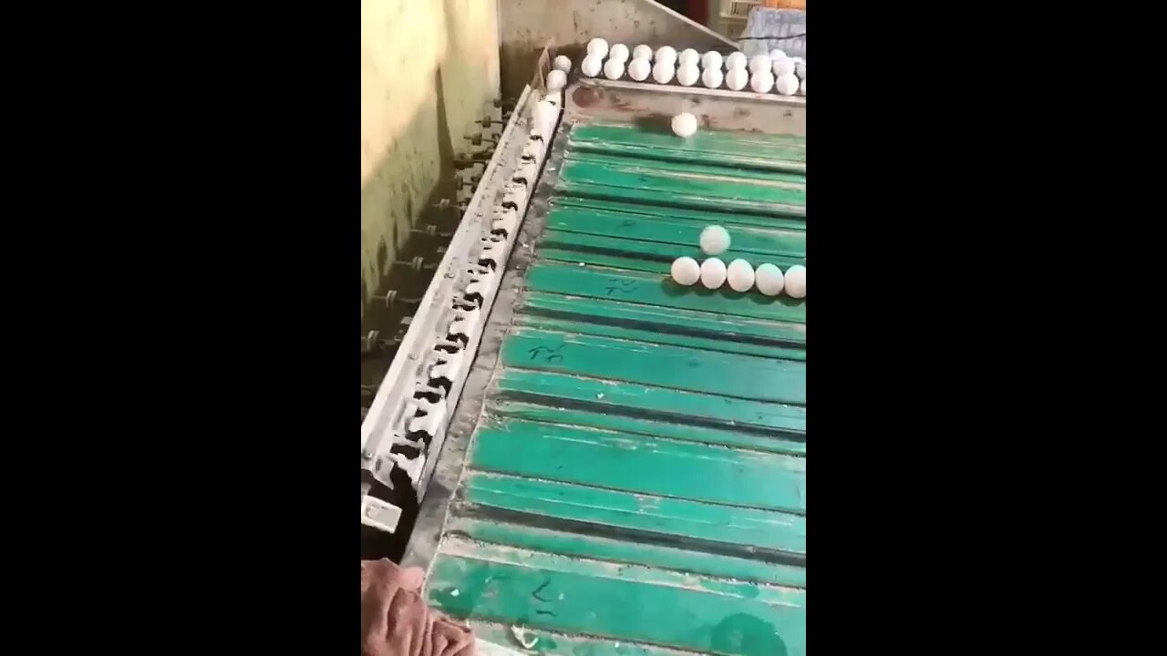 Automatic egg size sorting