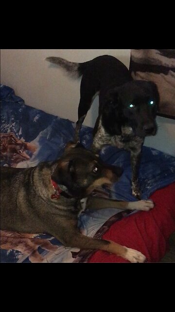 She wants him to play