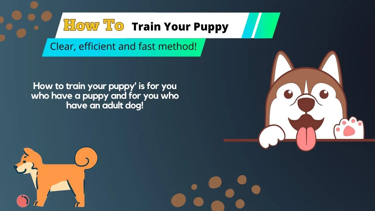 How to Train Your Puppy