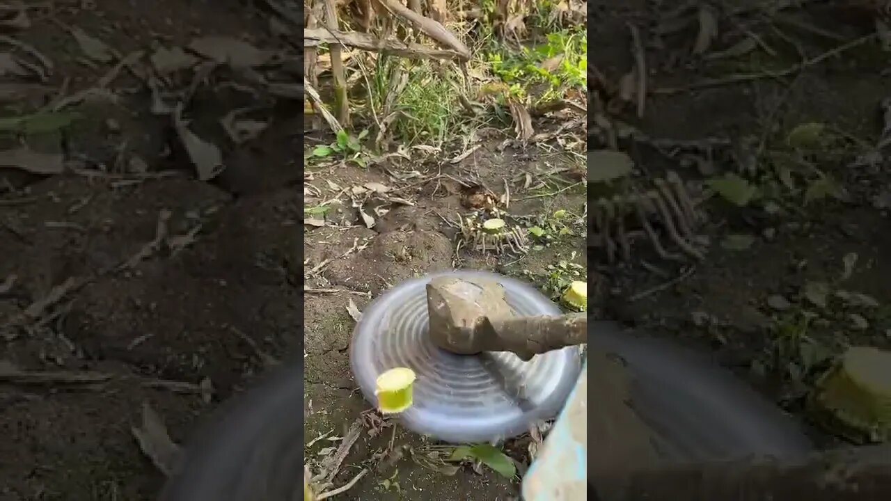 Viral and Trending Shorts of 2022 Tools tips&tricks #shorts #viral #amazing #2022 #youtube #ideas