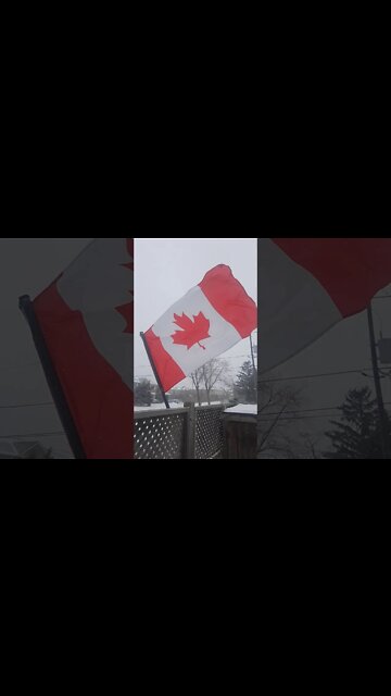 Canadian Flag Waiving In Wind During Blizzard 2021 #shorts