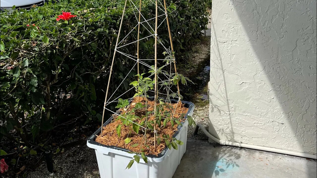 Patio Sized Raised Bed