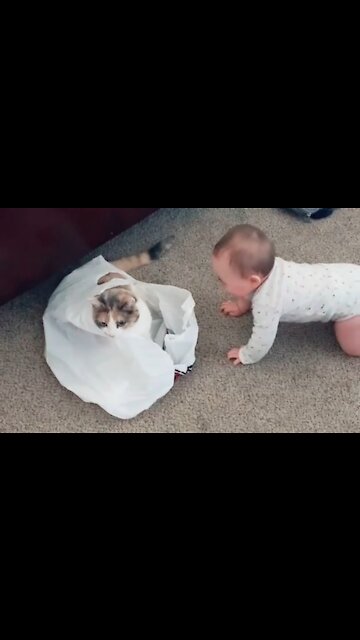 The cat cracks her up so much #baby #babylaugh #babyandcat #fyp