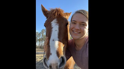 One Year with Ember