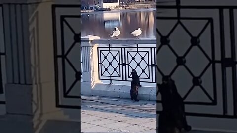 LOL 🐈🐦🖕💩😂😂 !