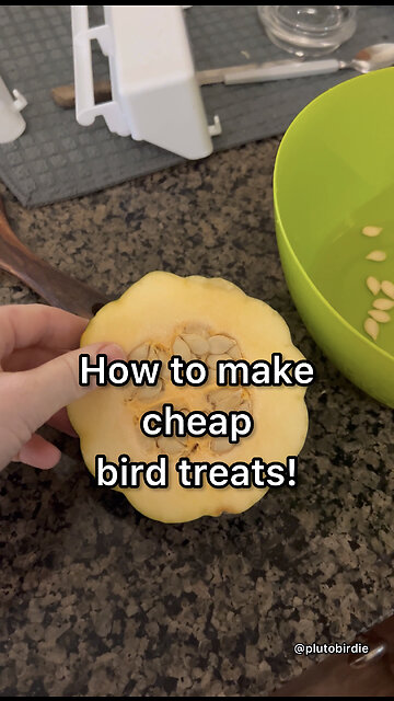How to make a cheap and healthy (bird) treat!
