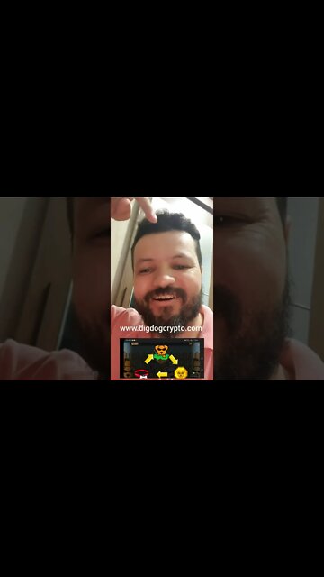 Dig Dog Crypto - NFT para ajudar os pets .