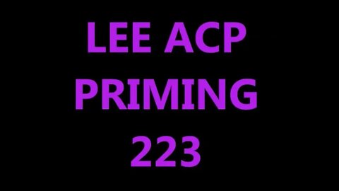 ACP PRIMING 223