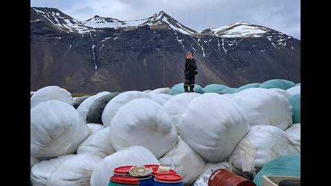 Farm Boy - Life in the Icelandic Countryside