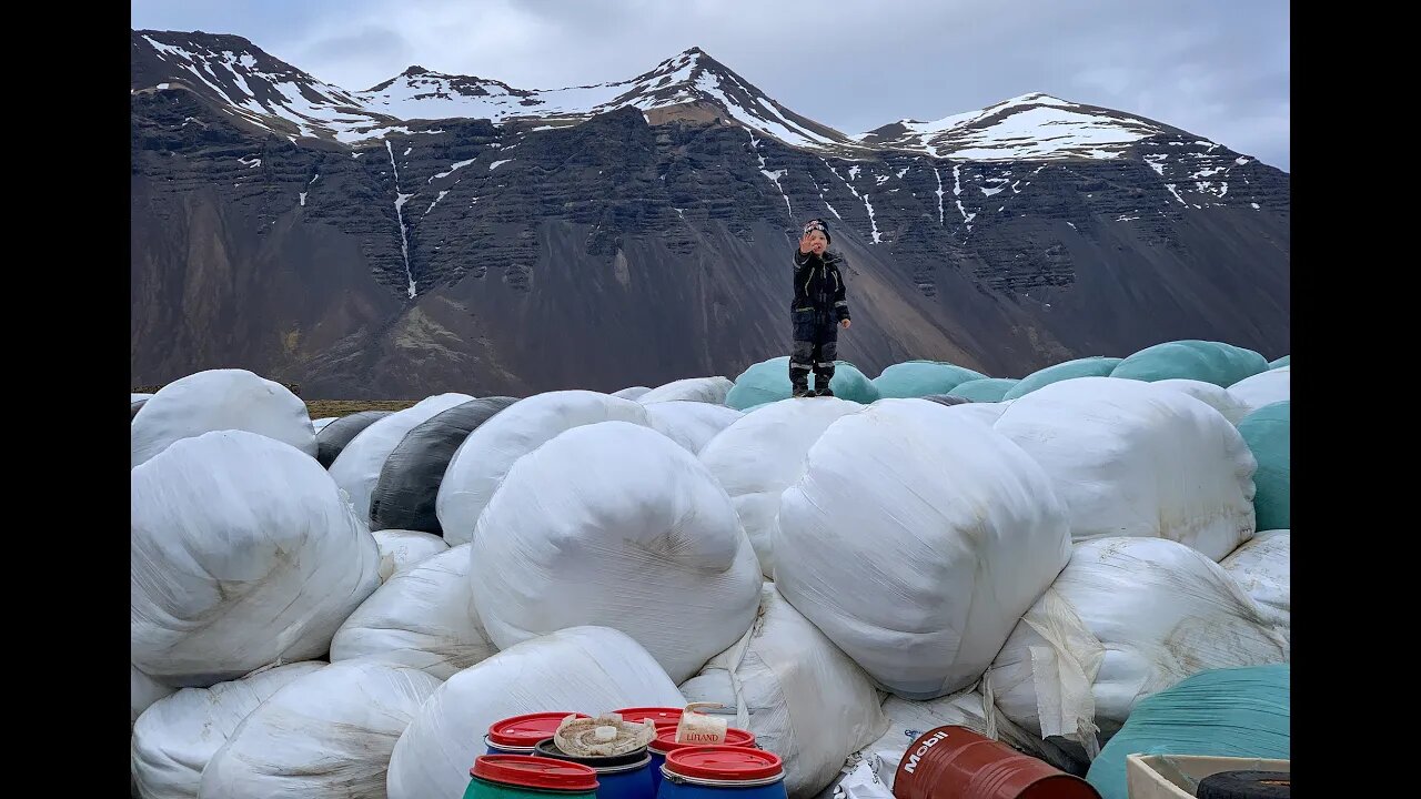 Farm Boy - Life in the Icelandic Countryside