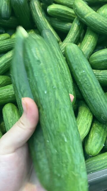 Two cucumbers stuck together