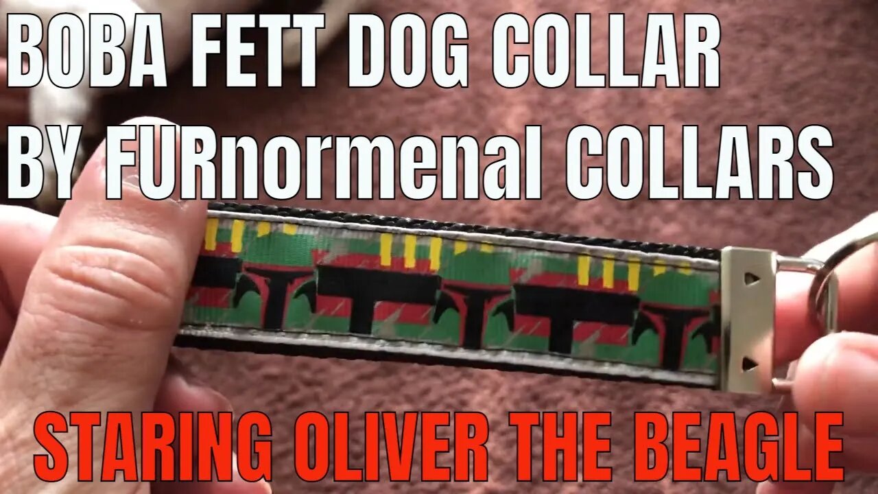 BOBA FETT DOG COLLAR BY FURnomenal Collars. Best dog collars on Etsy!