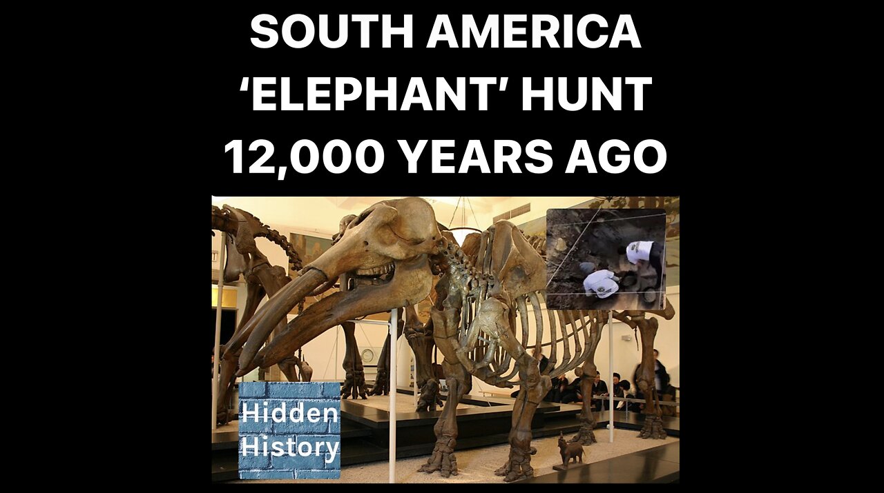 Shock as prehistoric 12,000-year-old ‘elephants’ in Chile were hunted by HUMANS