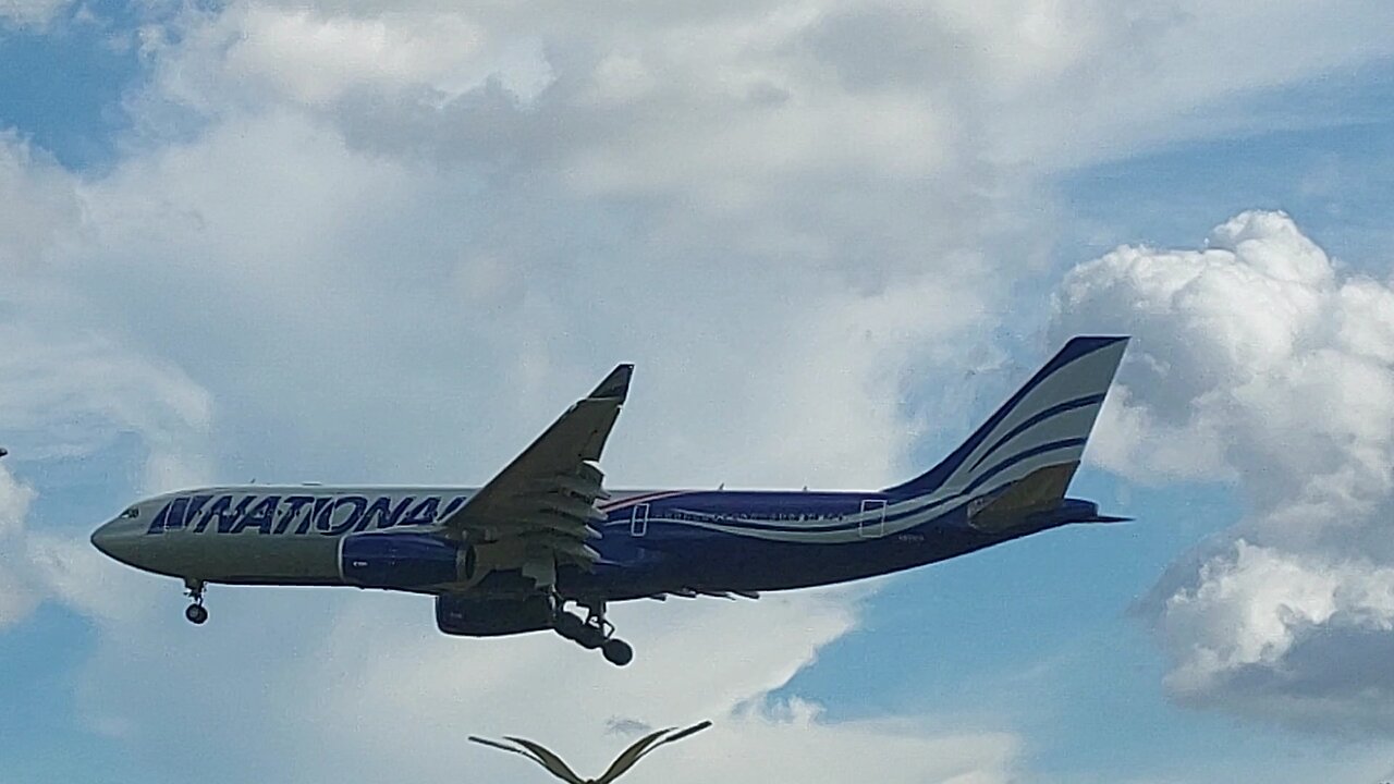 Airbus A330-243 N819CA National Airlines on final approach coming from Miami to Manaus 🇺🇸🇧🇷