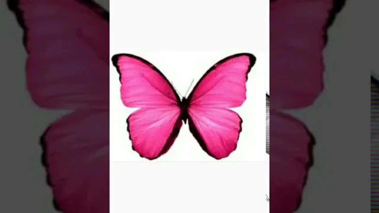 PG English colours name pink