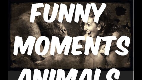 Moments Animals 😁🤣