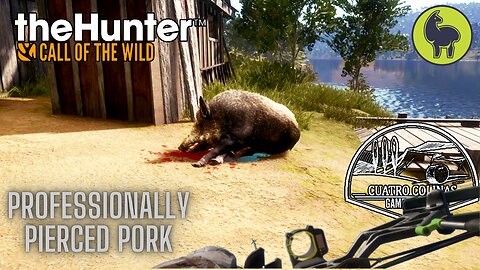 Professionally Pierced Pork, Cuatro Colinas | theHunter: Call of the Wild (PS5 4K)