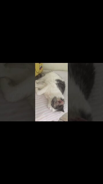 Obi Wan Kenobi nanando