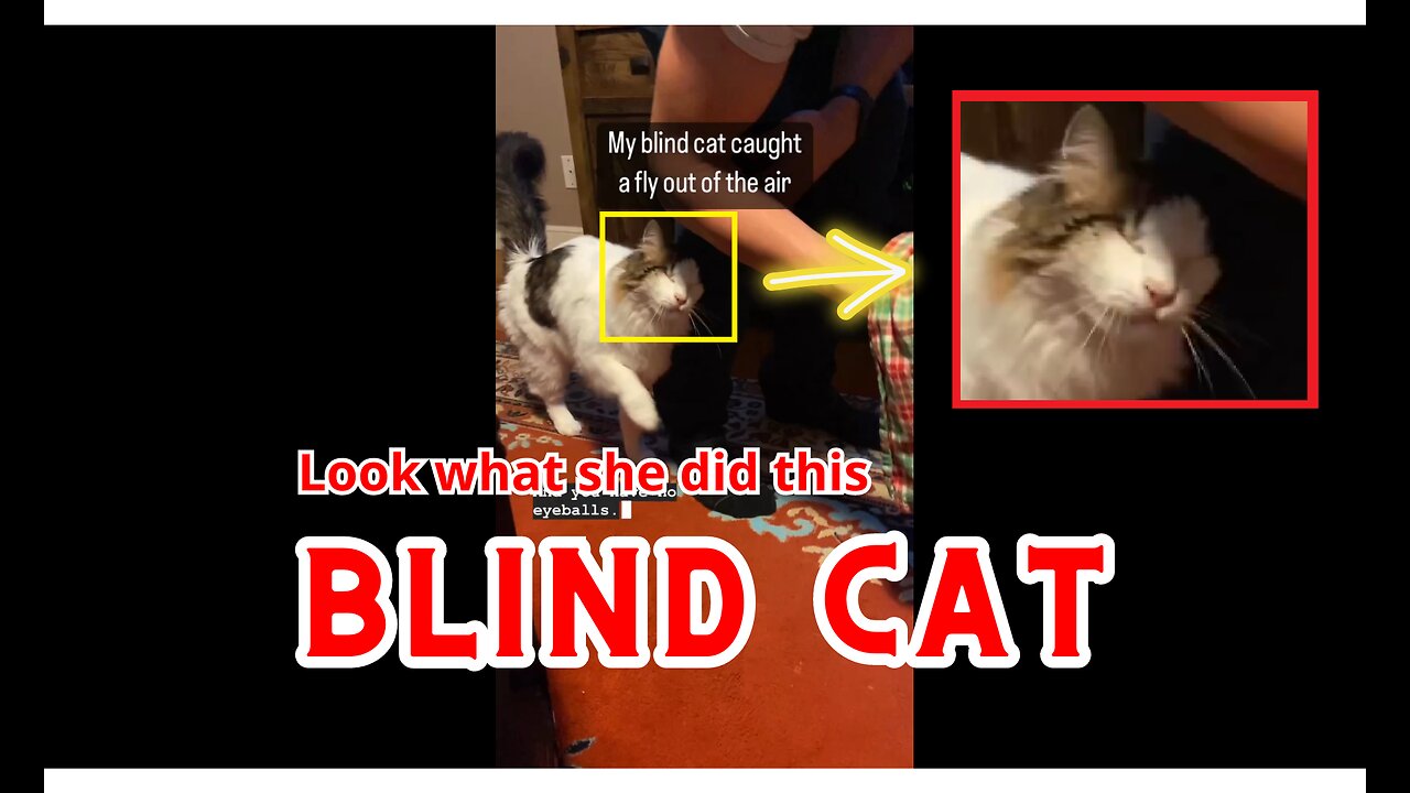 Look what this BLIND cat caught!