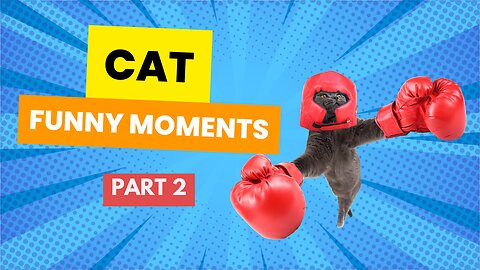 CAT FUNNY MOMENTS | PART 2