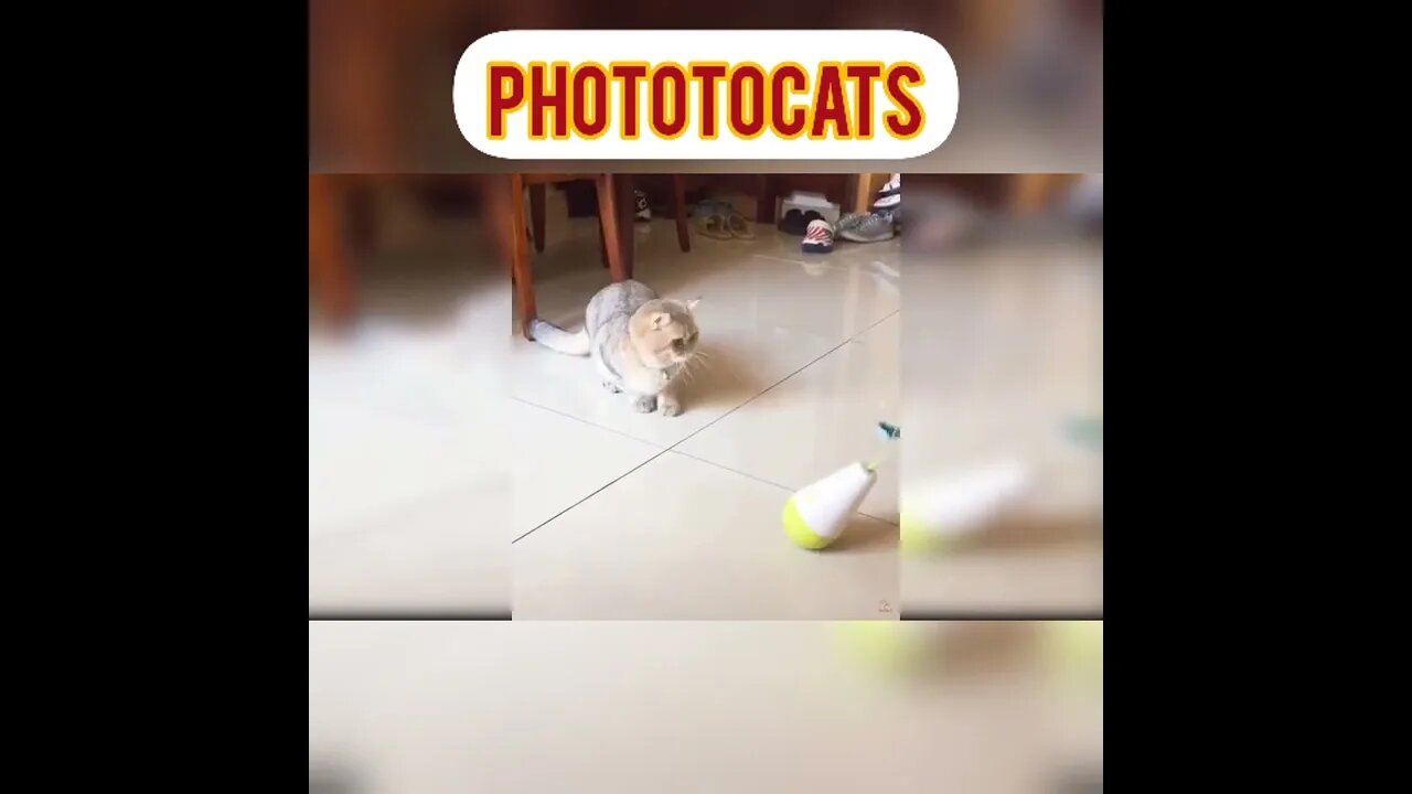 lucky