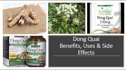 Dong Quai Uses, Benefits, Side Effects & Dosage