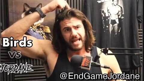Jordane vs Birds! (NSFW)