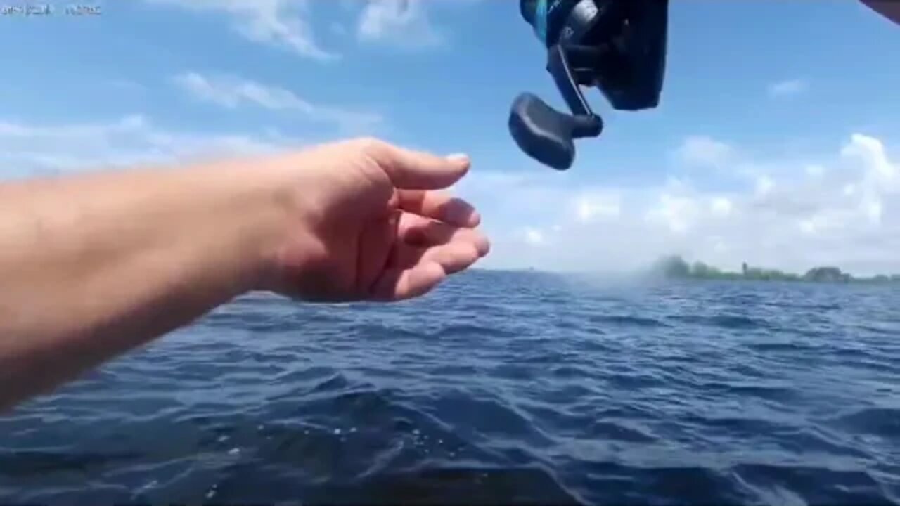 trout fishing part2( slow motion cobia strike)