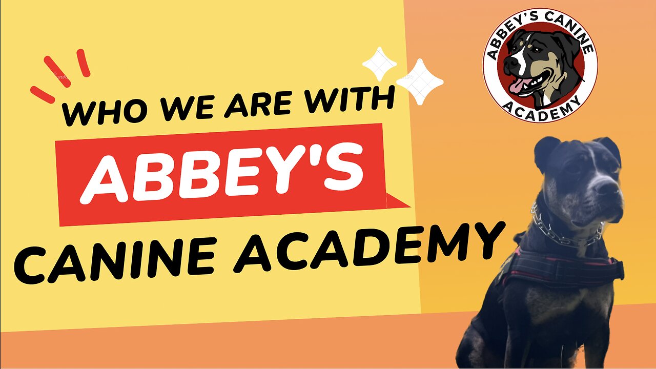 Welcome to Abbey's Canine Academy