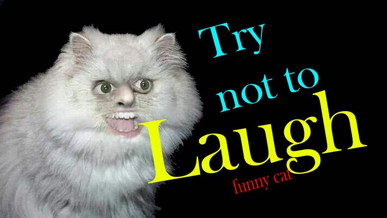 You Laugh You Lose 😂 Funniest Cats and Dogs 2023 😻🐶