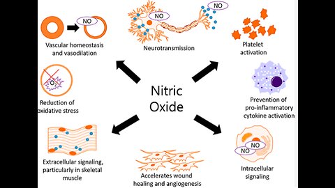 Nitric oxide