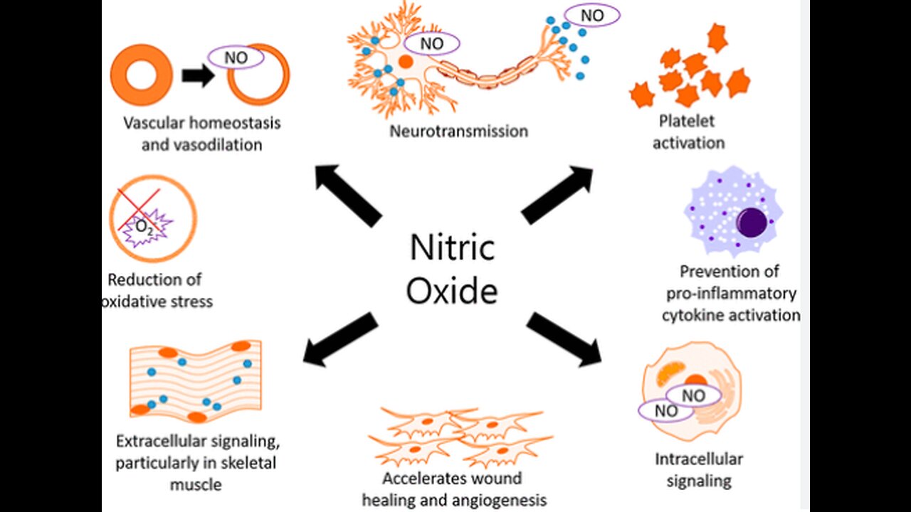 Nitric oxide