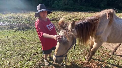 In memory: Arthur is finally full and we enjoy very peaceful last minutes