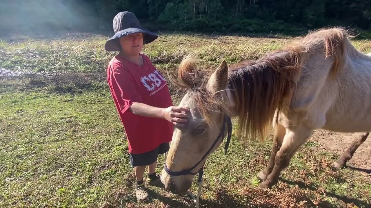 In memory: Arthur is finally full and we enjoy very peaceful last minutes