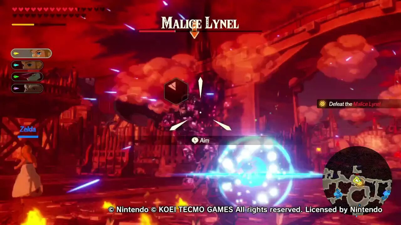 Link vs. Malice Lynel