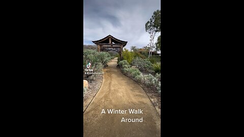 A Winter Walk around Meditation Mount in Ojai, CA