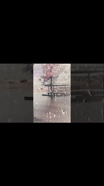 #rainsounds #rain #raindrops #thundersounds #thundersounds