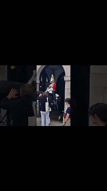 Tourist pat's the horse touch much #horseguardsparade