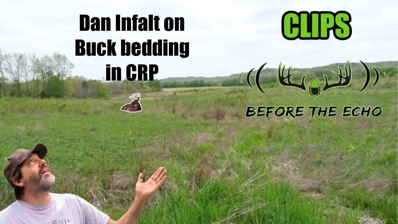 Where do bucks bed in CRP with Dan Infalt