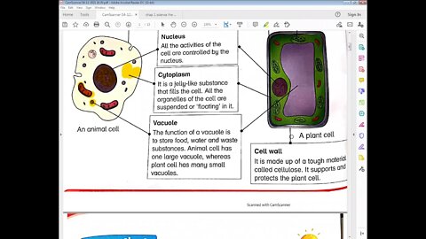 science class4 13 april 2021