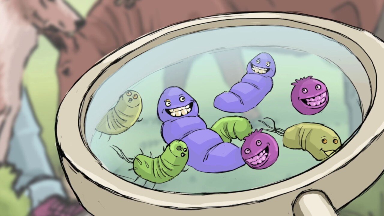 Antimicrobial resistance (AMR) educational video