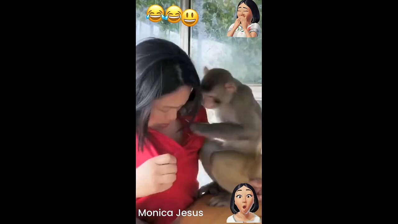 monkey fan whit woman