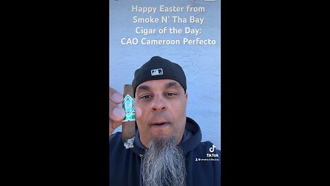 Cigar of the Day: CAO Cameroon Perfecto 4x48 #HappyEaster #Short #Cigars #Shorts #Cigar