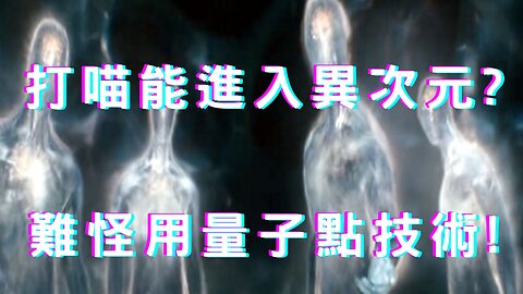 政大書城與電子書、川普神速行動證明喵為電子裝置非生物、打喵可進入異次元?公平正義還是遠端遙控？賴8月美侯訪日、美中氣候談判、葉倫談陸關稅、陸GDP