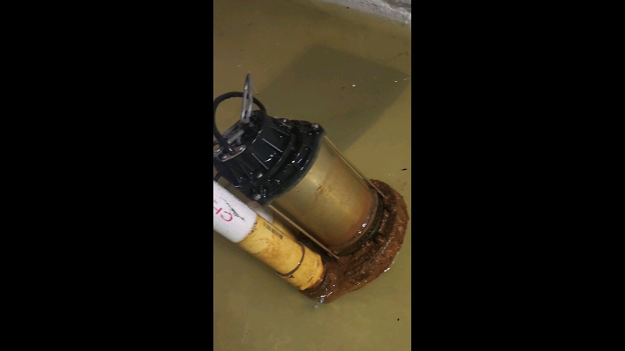 Flooded Basement