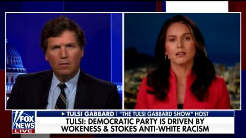 Tulsi Gabbard Rips The Democrat Party